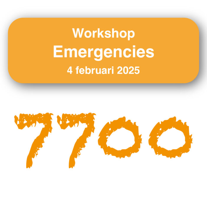 Workshop Emergencies 04-02