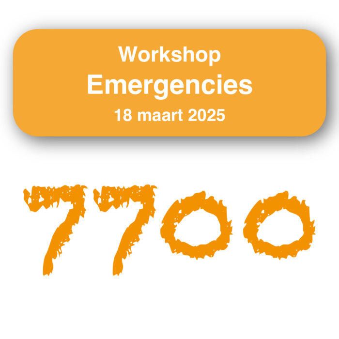 Workshop Emergencies 18-03